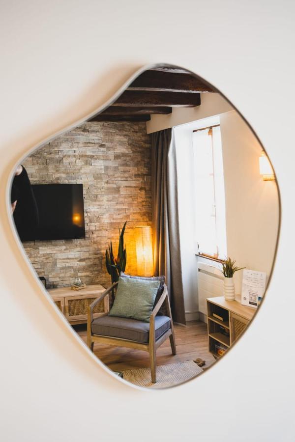 Le Grenette - Appartement Pour 2 A 4 Personnes En Plein Coeur D'Annecy Esterno foto